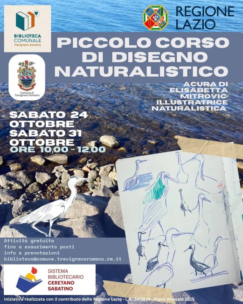 corso disegno biblioteca - Trevignano Romano Turismo